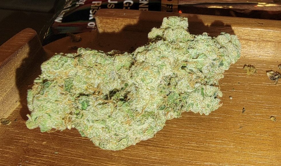 20221208 200337 e1671653839392