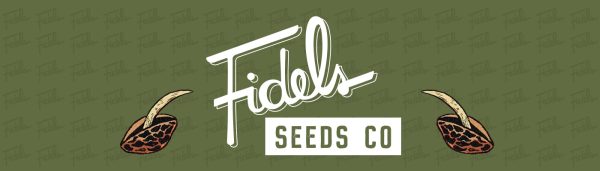 Fidels Seed Co Fidelyting.com